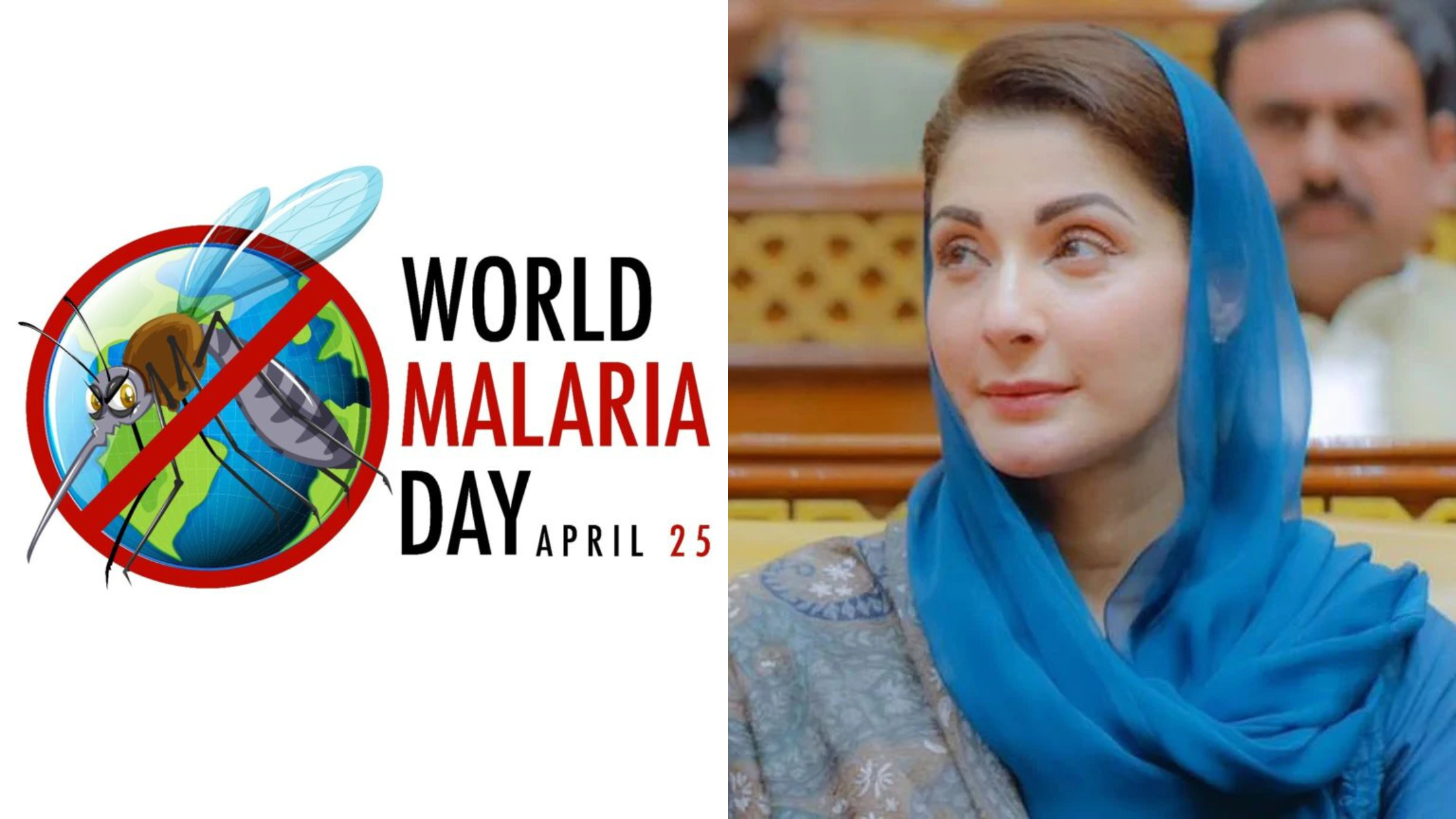 malaria