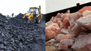 punjab salt