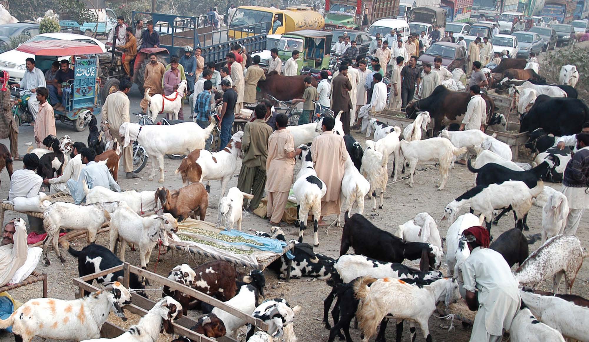 Eid-ul-Azha
