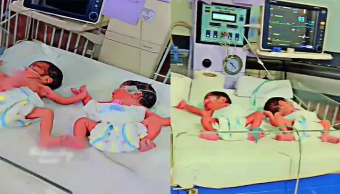 five healthy babies at once