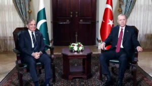 SCO Summit