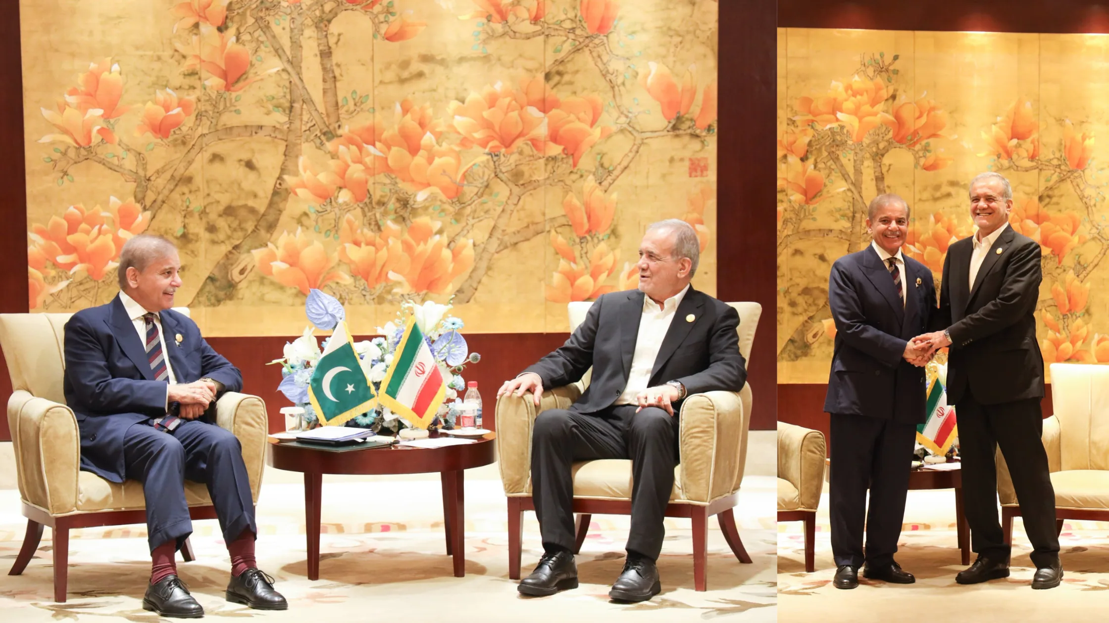 SCO summit