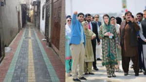 Punjab Beautification