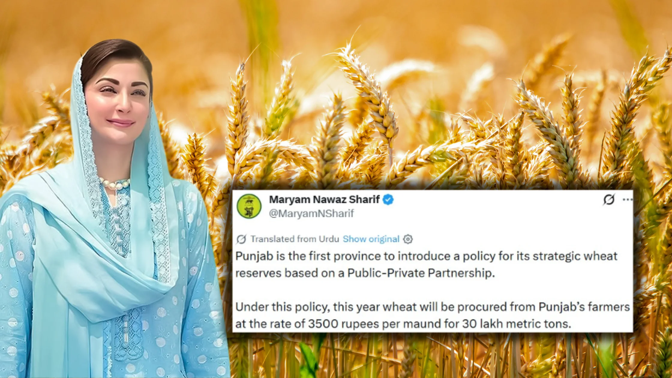 Wheat Reserve