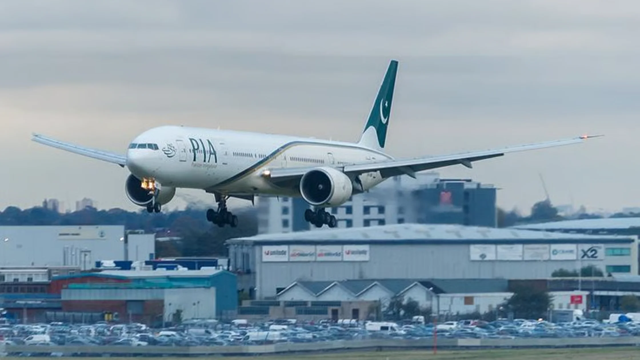 pia