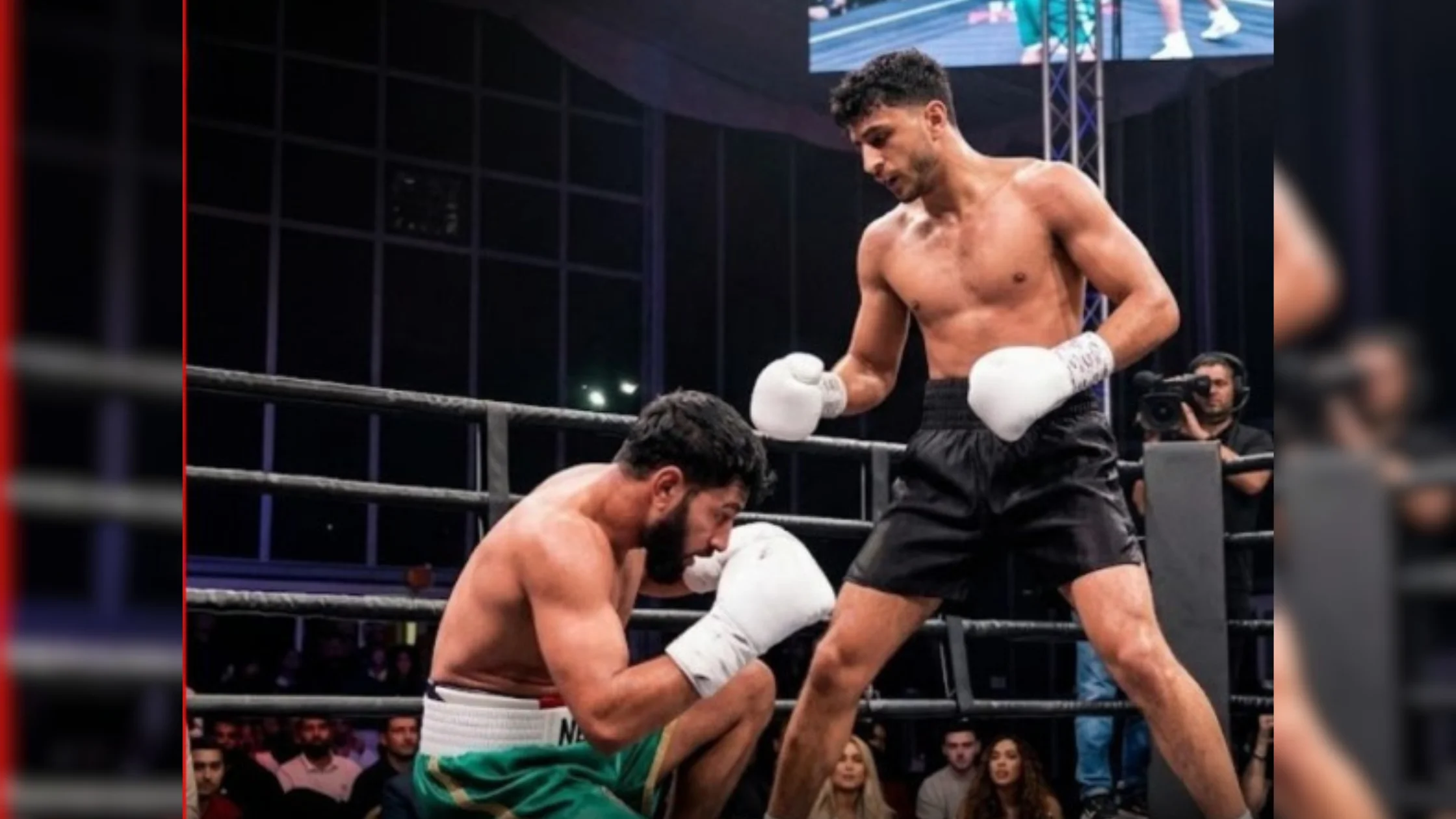 Pakistani Boxer