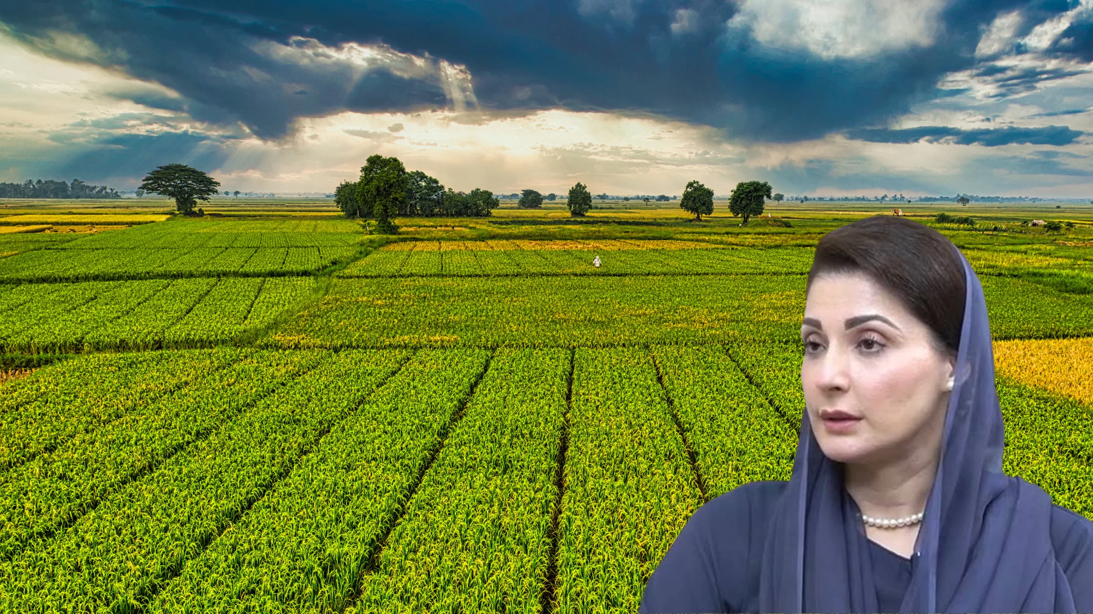 Apna Khet Apna Rozgar
